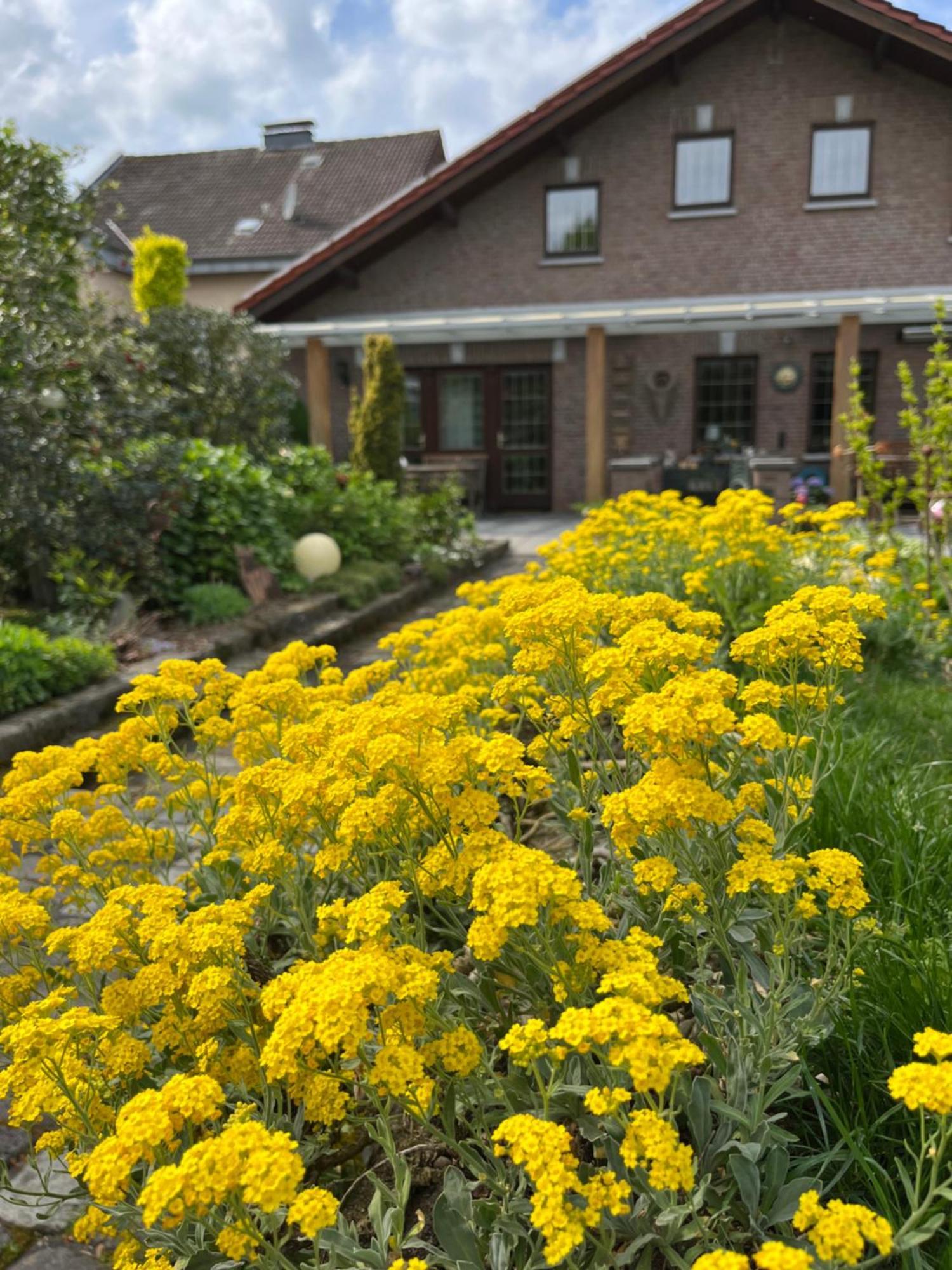 Ferienwohnung Jansen Selfkant Екстер'єр фото
